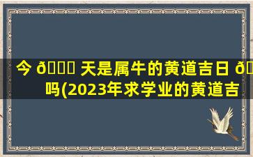 今 🐛 天是属牛的黄道吉日 🐠 吗(2023年求学业的黄道吉日)